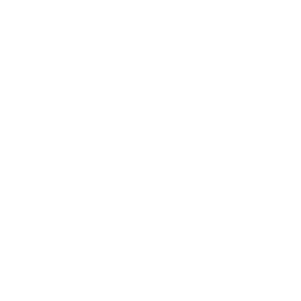 The Knot 2020