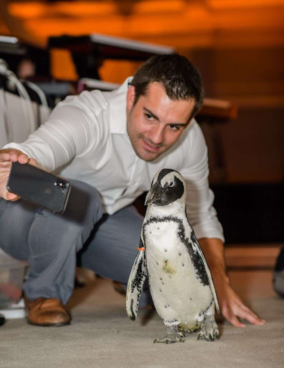 Stephen Darby taking a photo with a penguin during an event.
