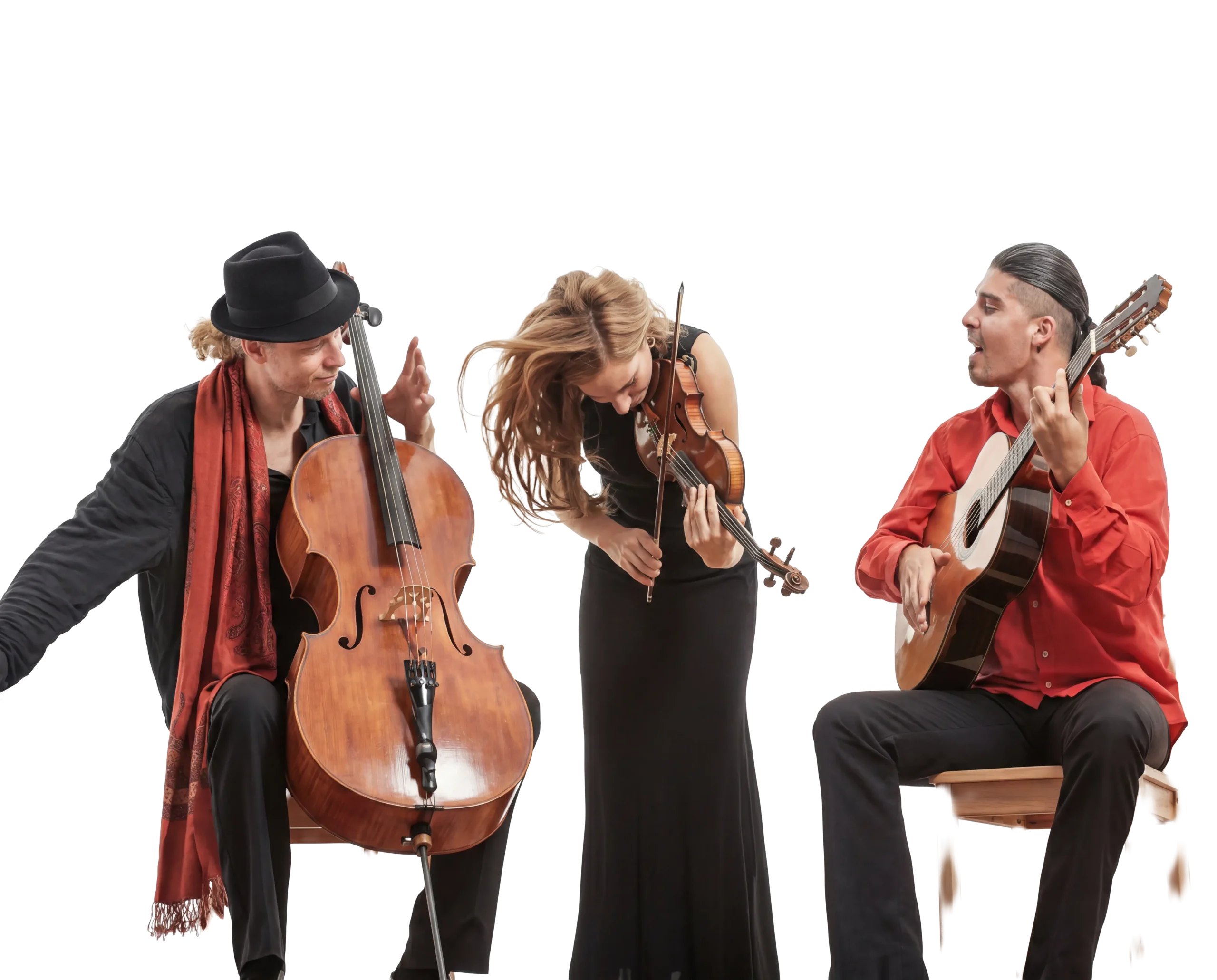 Ensemble of live musicians performing together